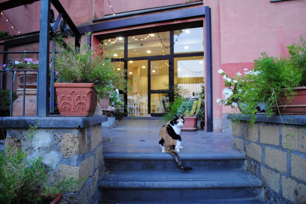 Hotel Tuscania Panoramico Exterior photo